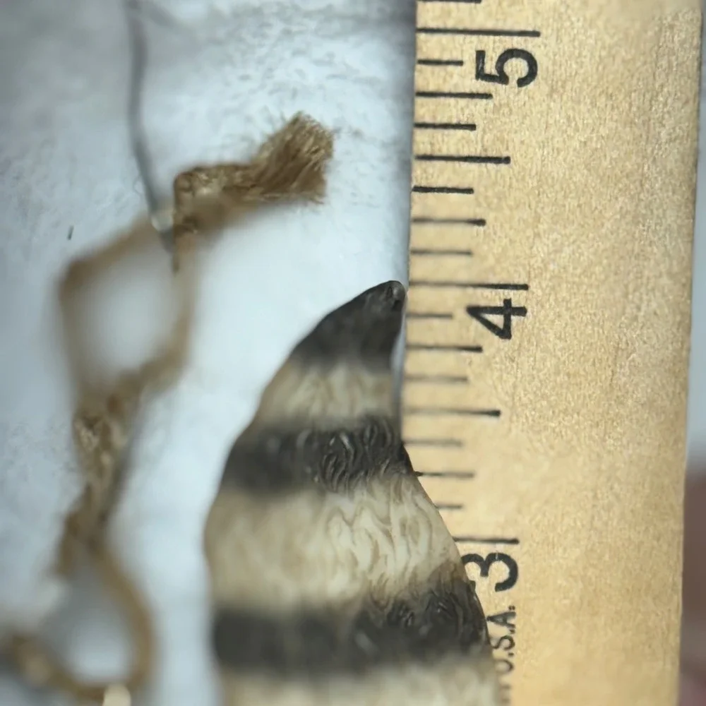 Raccoon Christmas Ornament Woodland Animal Resin Grey Brown